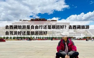 去西藏旅游是自由行还是跟团好？去西藏旅游自驾游好还是旅游团好