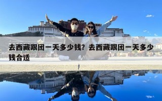 去西藏跟团一天多少钱？去西藏跟团一天多少钱合适
