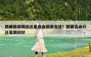 西藏旅游跟团还是自由旅游合适？西藏自由行还是跟团好