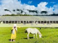 广东西藏旅游三天怎么样？广东西藏自驾线路