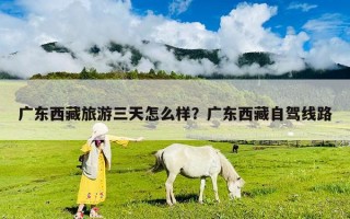广东西藏旅游三天怎么样？广东西藏自驾线路