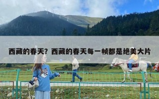 西藏的春天？西藏的春天每一帧都是绝美大片
