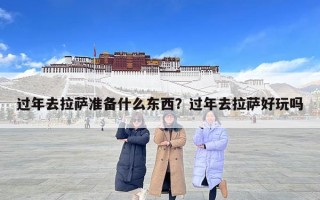 过年去拉萨准备什么东西？过年去拉萨好玩吗
