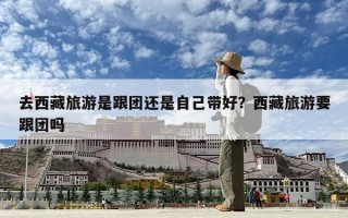 去西藏旅游是跟团还是自己带好？西藏旅游要跟团吗