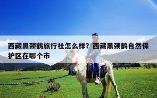 西藏黑颈鹤旅行社怎么样？西藏黑颈鹤自然保护区在哪个市