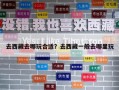 去西藏去哪玩合适？去西藏一般去哪里玩
