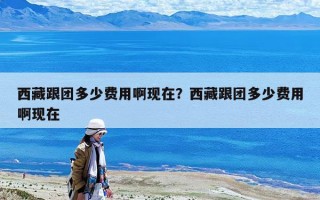 西藏跟团多少费用啊现在？西藏跟团多少费用啊现在