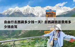 自由行去西藏多少钱一天？去西藏旅游费用多少钱自驾