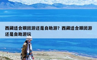 西藏适合跟团游还是自助游？西藏适合跟团游还是自助游玩