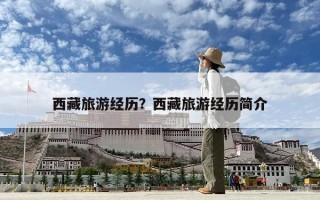 西藏旅游经历？西藏旅游经历简介