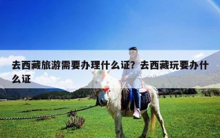 去西藏旅游需要办理什么证？去西藏玩要办什么证