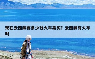 现在去西藏要多少钱火车票买？去西藏有火车吗