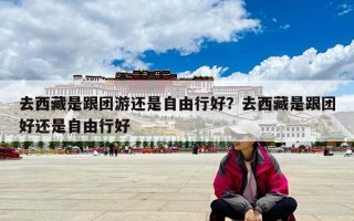 去西藏是跟团游还是自由行好？去西藏是跟团好还是自由行好