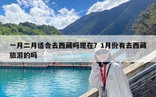 一月二月适合去西藏吗现在？1月份有去西藏旅游的吗
