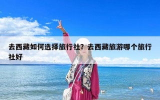 去西藏如何选择旅行社？去西藏旅游哪个旅行社好