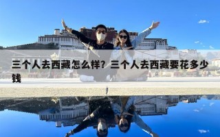 三个人去西藏怎么样？三个人去西藏要花多少钱