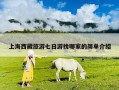 上海西藏旅游七日游找哪家的简单介绍