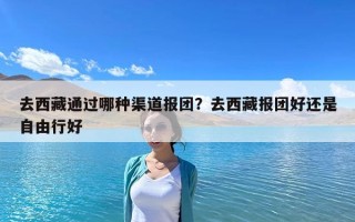 去西藏通过哪种渠道报团？去西藏报团好还是自由行好