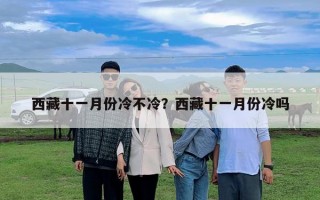 西藏十一月份冷不冷？西藏十一月份冷吗