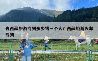 去西藏旅游专列多少钱一个人？西藏旅游火车专列