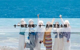 十一林芝攻略？十一去林芝怎么样