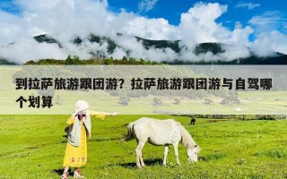 到拉萨旅游跟团游？拉萨旅游跟团游与自驾哪个划算