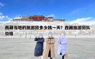 西藏当地的旅游团多少钱一天？西藏旅游团队价格