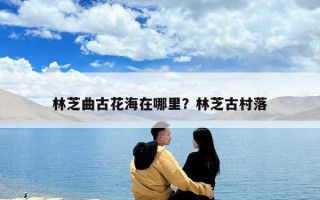 林芝曲古花海在哪里？林芝古村落