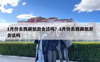 1月份去西藏旅游合适吗？1月份去西藏旅游合适吗