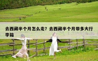 去西藏半个月怎么走？去西藏半个月带多大行李箱