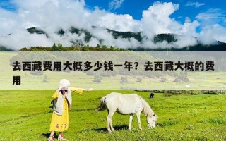 去西藏费用大概多少钱一年？去西藏大概的费用