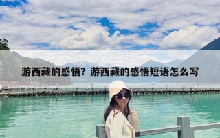 游西藏的感悟？游西藏的感悟短语怎么写