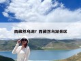 西藏然乌湖？西藏然乌湖景区