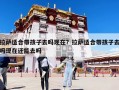拉萨适合带孩子去吗现在？拉萨适合带孩子去吗现在还能去吗