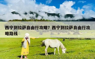 西宁到拉萨自由行攻略？西宁到拉萨自由行攻略路线