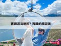 西藏游当地团？西藏的旅游团