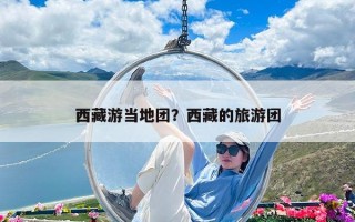 西藏游当地团？西藏的旅游团