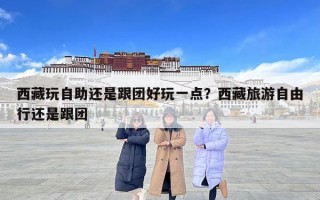 西藏玩自助还是跟团好玩一点？西藏旅游自由行还是跟团
