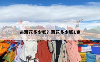 进藏花多少钱？藏花多少钱1克
