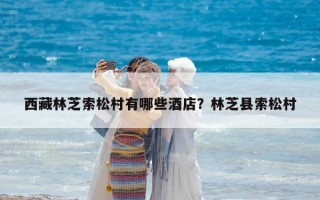 西藏林芝索松村有哪些酒店？林芝县索松村