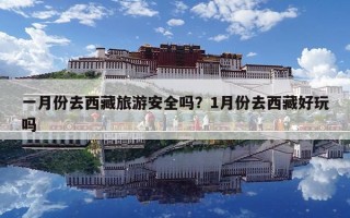 一月份去西藏旅游安全吗？1月份去西藏好玩吗