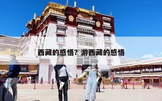 西藏的感悟？游西藏的感悟
