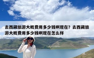 去西藏旅游大概费用多少钱啊现在？去西藏旅游大概费用多少钱啊现在怎么样