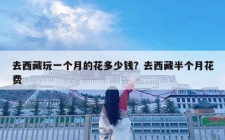 去西藏玩一个月的花多少钱？去西藏半个月花费