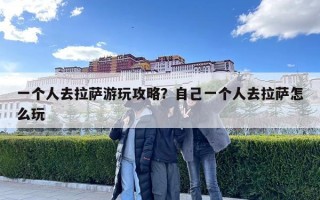 一个人去拉萨游玩攻略？自己一个人去拉萨怎么玩