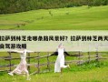 拉萨到林芝走哪条路风景好？拉萨到林芝两天自驾游攻略