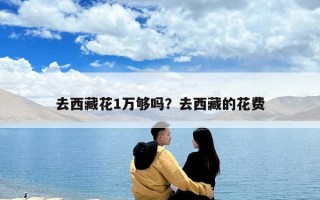 去西藏花1万够吗？去西藏的花费
