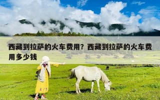 西藏到拉萨的火车费用？西藏到拉萨的火车费用多少钱