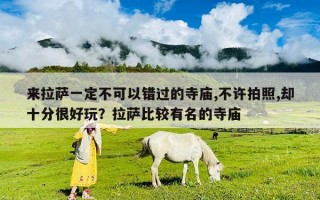 来拉萨一定不可以错过的寺庙,不许拍照,却十分很好玩？拉萨比较有名的寺庙