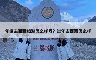 年底去西藏旅游怎么样呀？过年去西藏怎么样